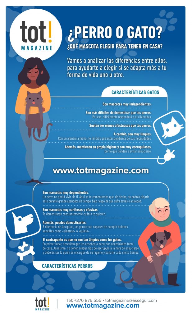 Perro o gato Que mascota elegir para tener en casa