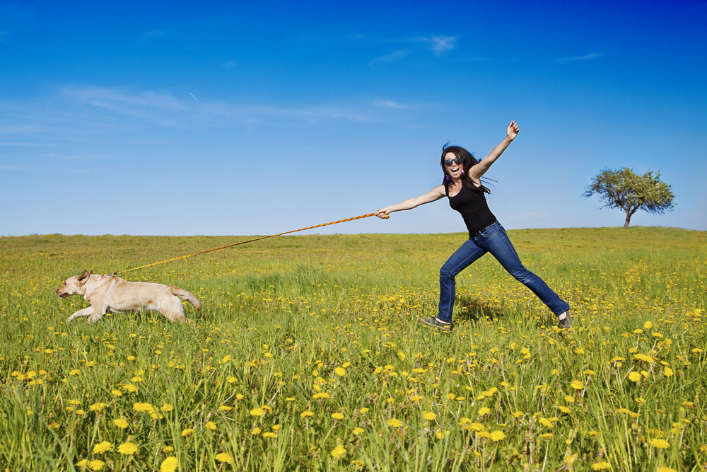 Adiestramiento canino básico | ¿Cómo hacer que tu perro no tire de la correa?