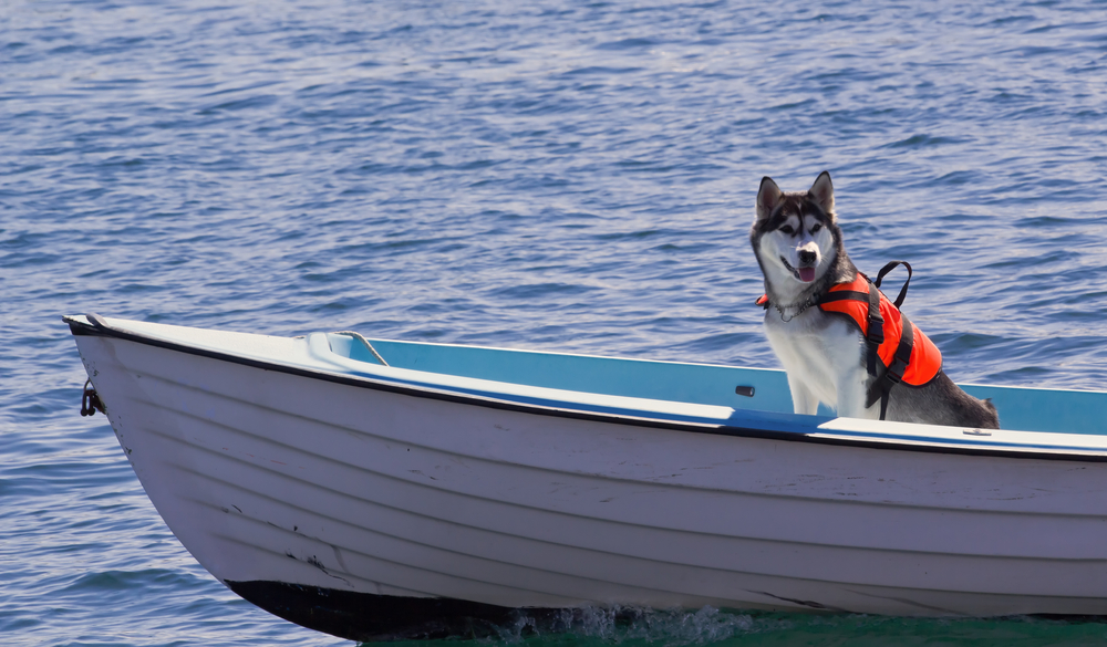 seguro para barcos