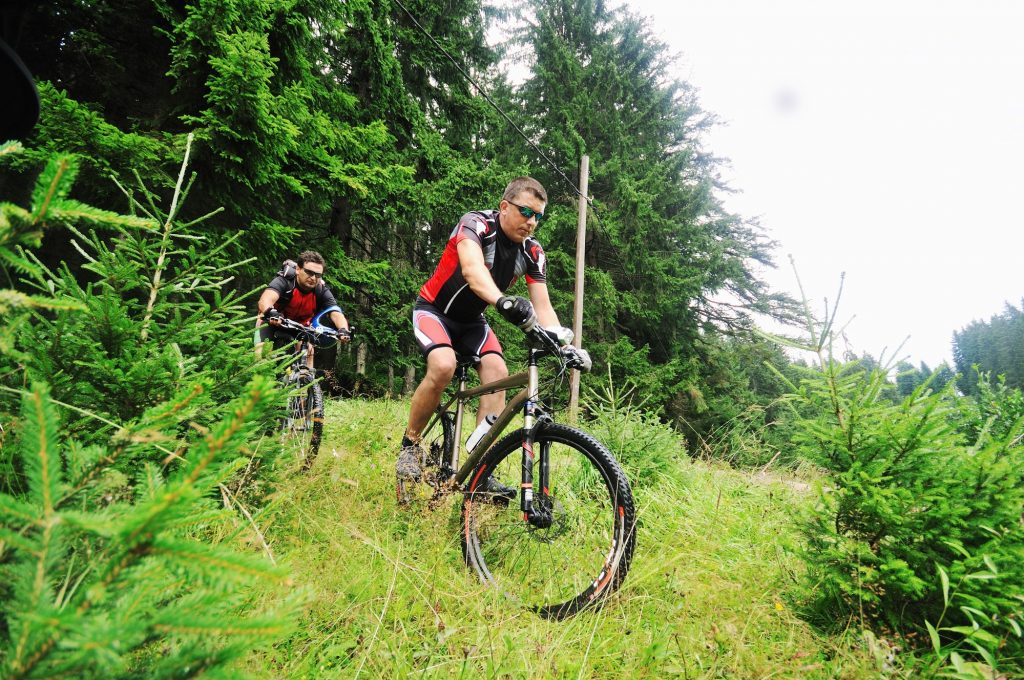 Tipus de bicicletes de muntanya segons els teus interessos