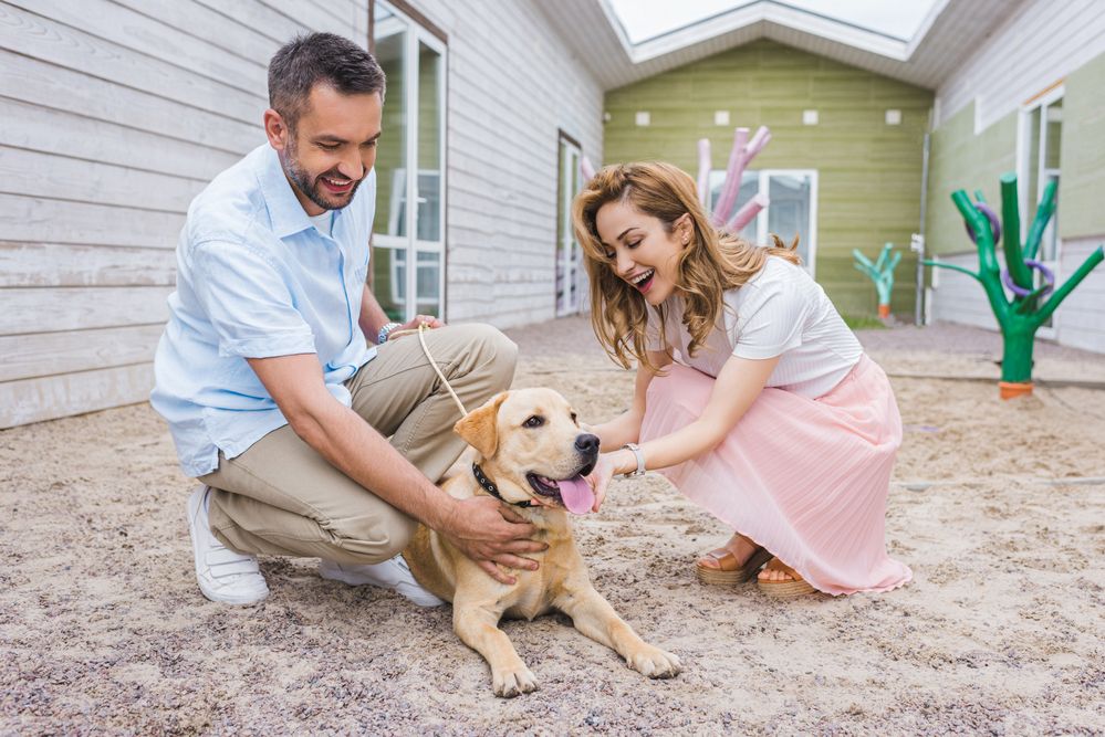 Cosas-a-tener-en-cuenta-antes-de-adoptar-una-mascota