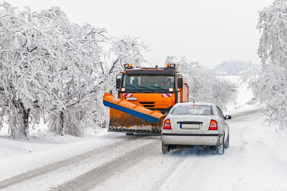 rodes-de-contacte-per-la-neu-caracteristiques-2