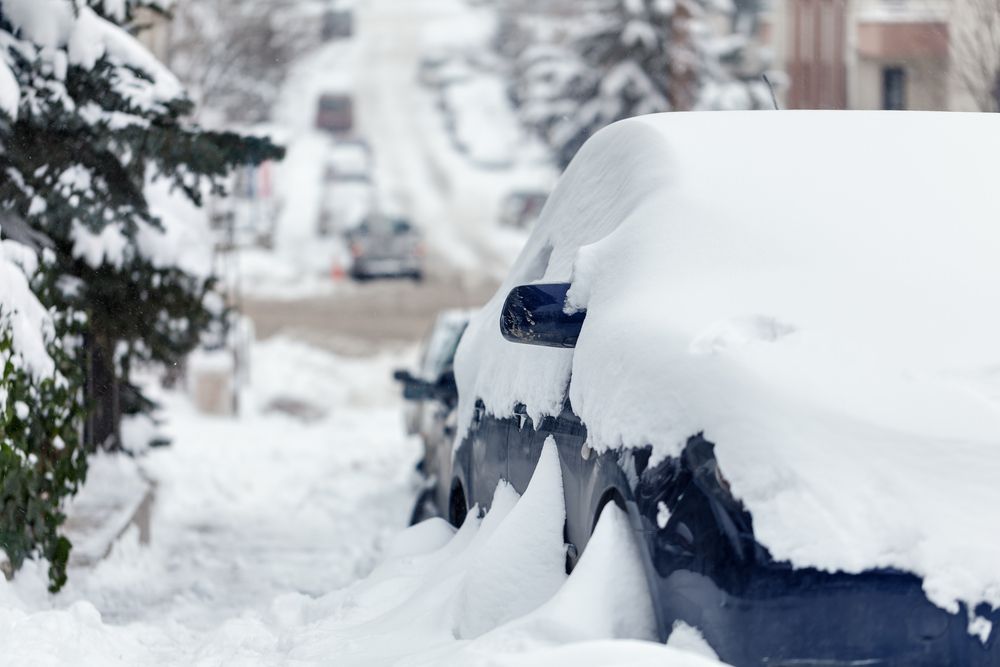 Rodes-de-contacte-per-la-neu-caracteristiques