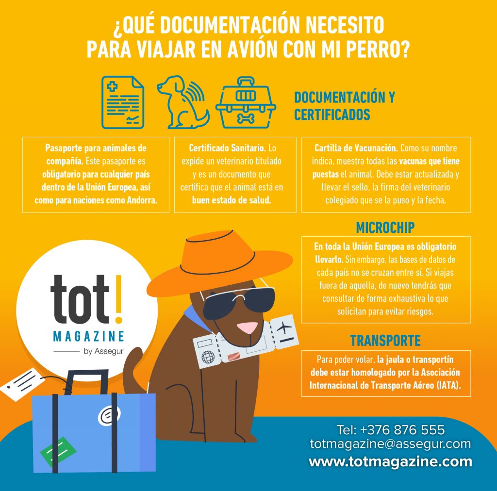 regletas con interruptor archivos - TotMagazine by Assegur Andorra